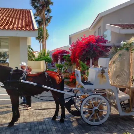 몬 레포스 호텔 아이아 나파