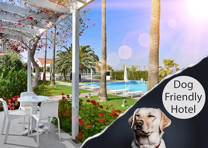 호텔 몬 레포스 4*